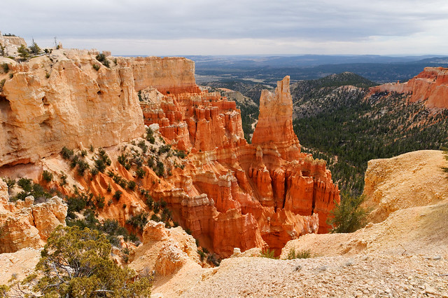 Bryce Canyon (157)